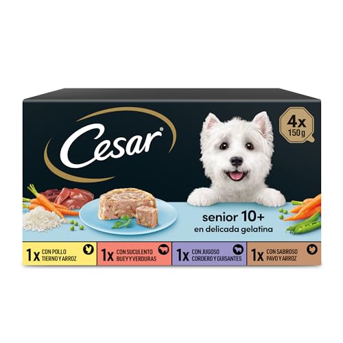 CESAR Multipack Terrine pour chien senior - 4 x 150 g