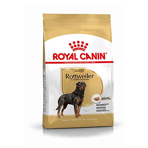 Royal Canin rottweiler 1er Pack 1 x 12 kg