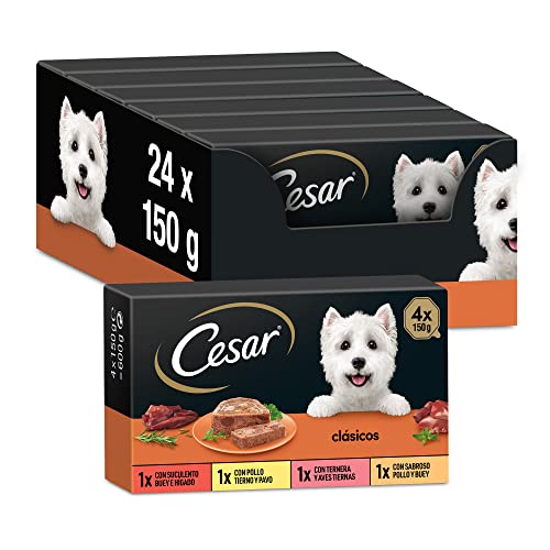Cesar Nassfutter fÃ¼r Hunde Auswahl an Klassikern in Pastete Multipack 6 x 4 Becher x 150 g
