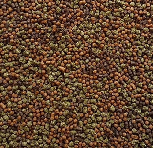 Aqua Shack Goldfisch-Pellets Premium Tricolor schwimmend sinkend Fischfutter Kaltwasser Bulk