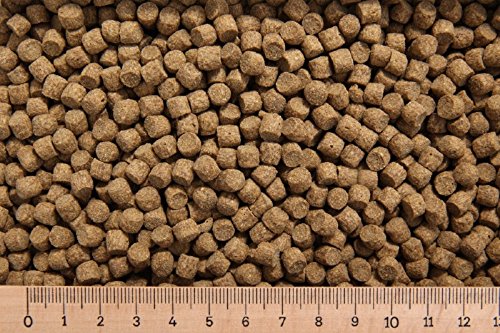  2 25 Euro   30 Karpfenfutter PP 6 0 30 5 schwimmend Cypriniden   Karpfenpellets
