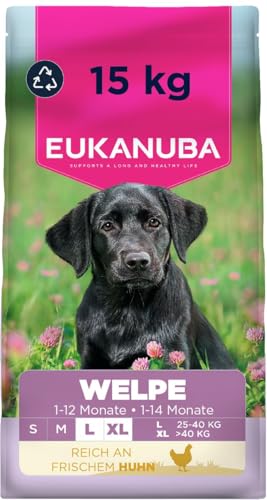 Eukanuba Welpenfutter mit frischem Huhn für große Rassen Premium Trockenfutter für Junior Hunde 15 kg