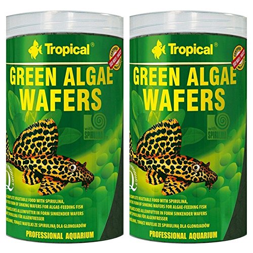  Doppelpack 2x 1000 Green Algae Wafers Welschips Pleco Futtertabletten
