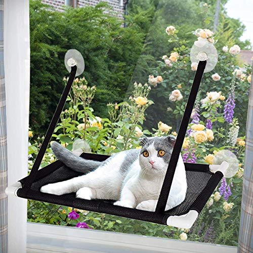 Afufu Katzen Fensterplätze Katzen Zubehör Fensterplatz Window Lounger Katzen Hängematte für Kletterwand Katzen-Miezekatze 10kg