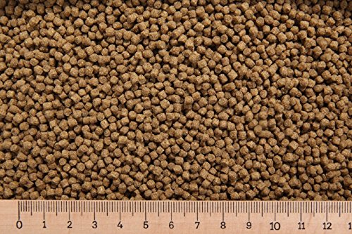 Grundpreis 3 15 Euro   10 Karpfenfutter PP 3 0 30 5 schwimmend Cypriniden   Karpfenpellets