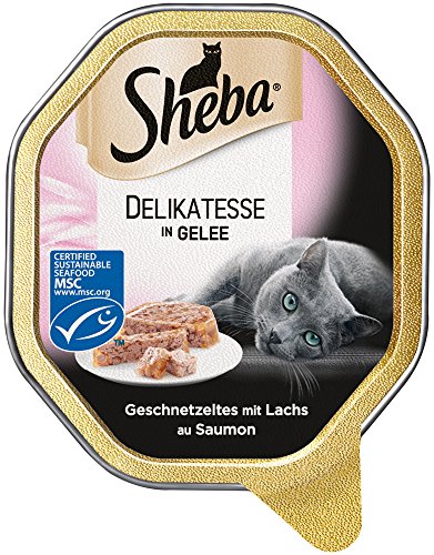 Sheba Katzenfutter Nassfutter Delikatesse in Gelee mit Lachs 1 x 85g Schale