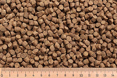 Grundpreis 1 95 Euro kg - 25 kg Karpfenfutter AC 6 0 mm 30 7 - sinkend - Karpfen - Karpfenpellets