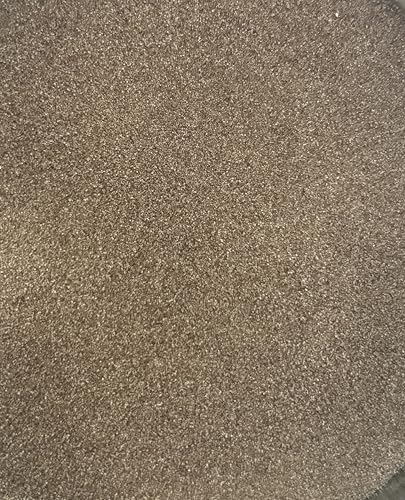 Sanders Artemia Eier Great Salt Lake Premium Brine Shrimp 95%Premium Schlupfrate 100 Gr