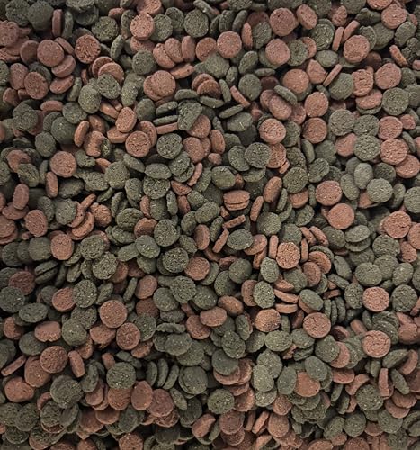 Miniwafers Mix 6% Spirulina Astaxanthin sinkende Wafers für Boden- und Pflanzenfresser im Aquarium ausgewogenes Futter für Zierfische Wirbellose 500Gr