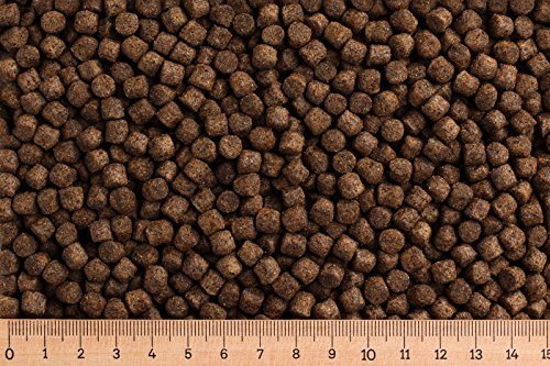 Grundpreis 1 99 Euro kg - 30 kg Premium Karpfenfutter Primo Float - 6 0 mm - Karpfen schwimmend - Karpfenpellets