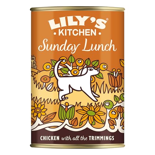 Lily s Kitchen Mit natürlichen Zutaten hergestellt Dosen-Nassfutter für ausgewachsene Hunde Huhn mit Gemüse 6 x 400g