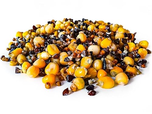 Tigernuessekaufen.de Ultimate Partikel Mix Angelfertig 20KG Karpfen Futter