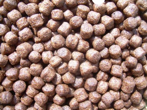 Koi Pellets grob 10000ml Fischfutter Teichfutter