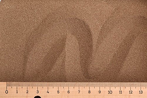 Grundpreis 245 00 Euro kg - 100 g Artemia Eier - 95% Schlupfrate - Artemia Selina