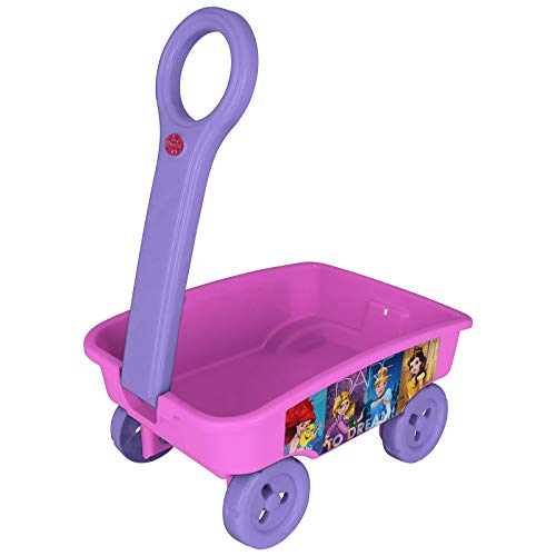 TW24 Handwagen für Kinder mit Motivwahl Bollerwagen Strandwagen Spielzeug Ziehwagen (Princess)