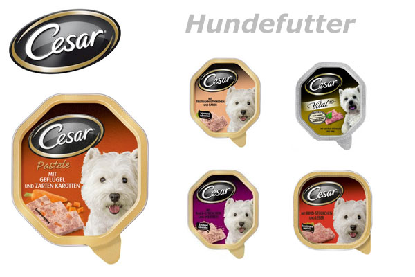 Cesar Hundefutter