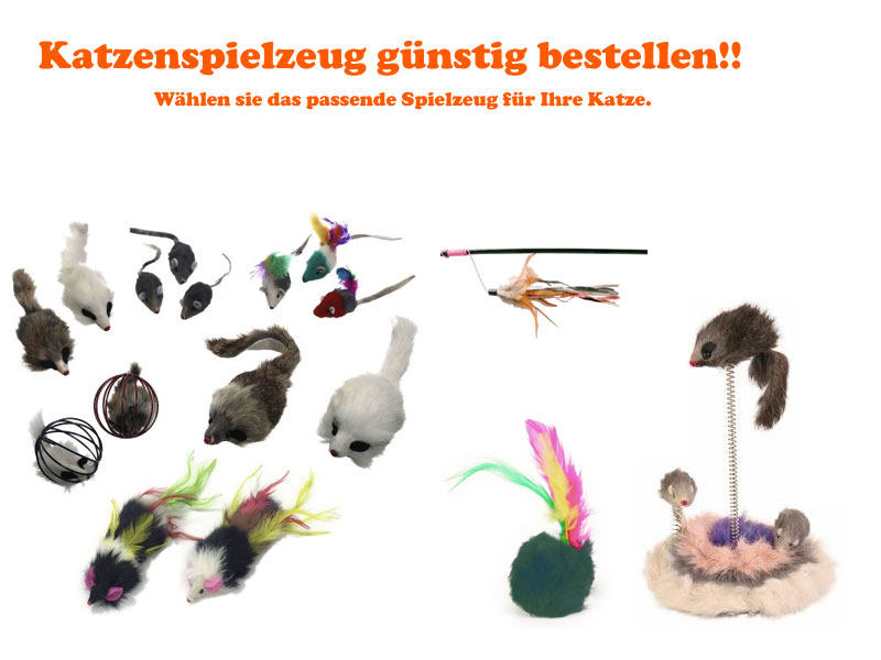 Katzenspielzeug