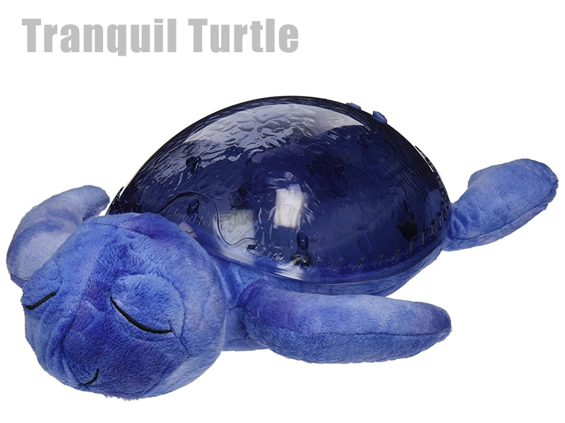 Tranquil Turtle